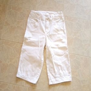 Westport 1962 signature fit Bermuda Shorts